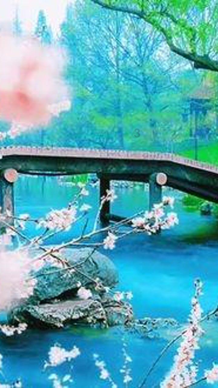 鲜奶运输车找不同
